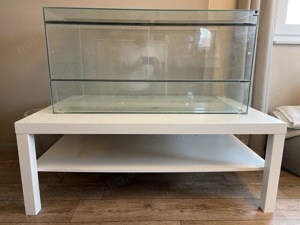 Terrarium abzugeben 