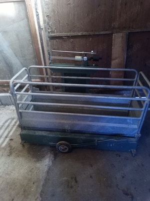 Kleintierwaage bis 300 kg