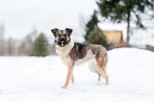 Schöne Luna sucht ein neues Zuhause