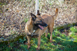 *MAJA* genießt ihre Freiheit