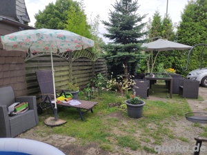 Ich biete Hundebetreuung Hundesitting an 