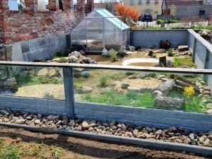 Auffangstationen für Landschildkröten
