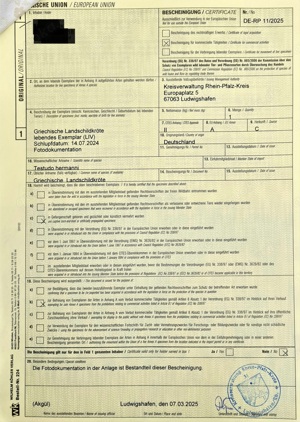Landschildkrötenbabys aus Zucht '24 u. '25 ab 75,- abzugeben Griechische(75,-) und Maurische(105,-) 