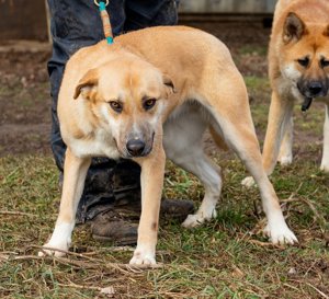 Timida hatte eine schlechte Vergangenheit Bild 5