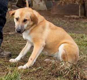 Timida hatte eine schlechte Vergangenheit Bild 2