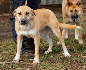 Timida hatte eine schlechte Vergangenheit Bild 3