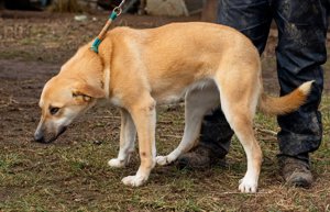 Timida hatte eine schlechte Vergangenheit Bild 4
