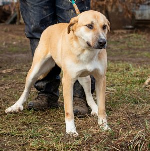 Timida hatte eine schlechte Vergangenheit Bild 6