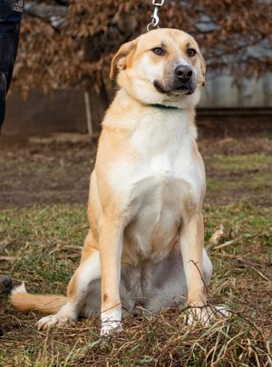 Timida hatte eine schlechte Vergangenheit Bild 7