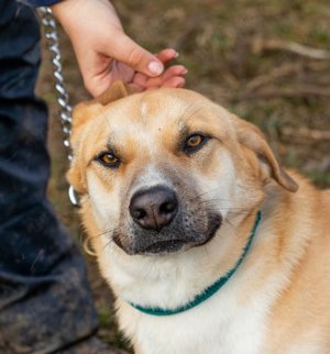 Timida hatte eine schlechte Vergangenheit