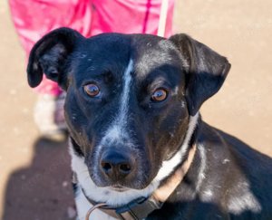 Frigyes, ein Kumpel für s Leben