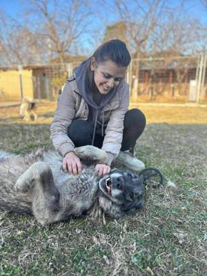 Julie s Traum soll wahr werden Bild 6