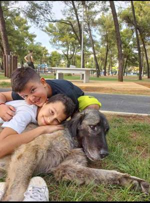 Julie s Traum soll wahr werden Bild 3