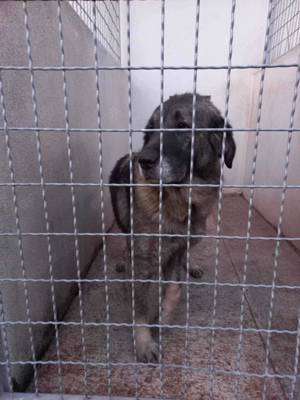 Julie s Traum soll wahr werden Bild 7