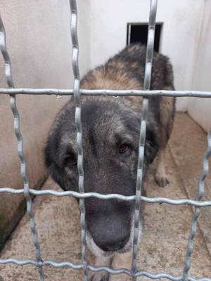 Julie s Traum soll wahr werden Bild 8