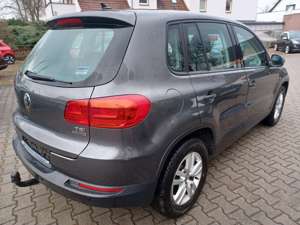 Volkswagen Tiguan Trend Bild 4