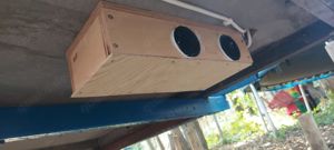 Tiny House  Bauwagen Bild 2