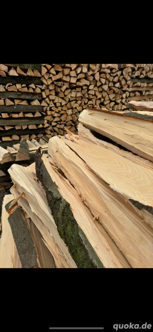 Brennholz Buche