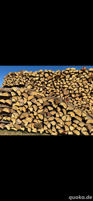 Brennholz Fichte