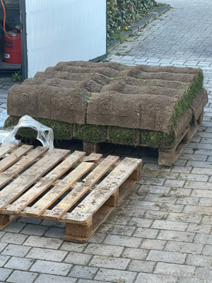 20 m  Qualitäts-Rollrasen von Hedderich   frisch geschält