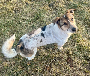Aufgeschlossene Freya sucht liebe Familie