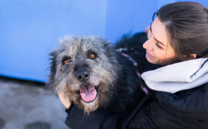 Strubbel-Hündin Rania Bild 9