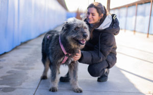 Strubbel-Hündin Rania Bild 11