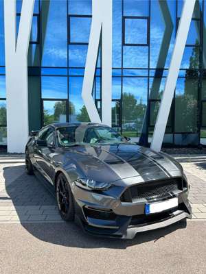 Ford Mustang Fastback 5.0 Ti-VCT V8 Aut. GT