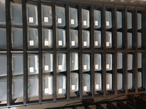 Aufzuchts Rack V18 60 Tubs 
