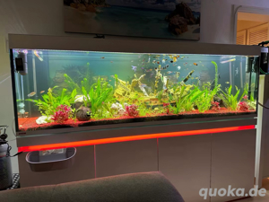 Aquarium Eheim 630liter + 2 oase filter etc.