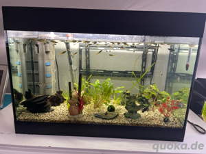 Aquarium mit Zubehör
