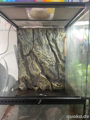 Exo Terra terrarium 45x45x60