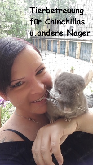 Biete Urlaubsbetreuung für Chinchillas an 