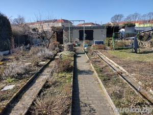 Pacht- Kleingarten 