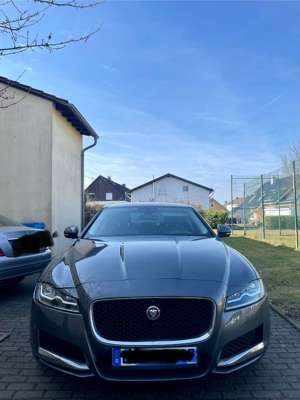 Jaguar XF 30d Aut. Prestige Bild 3