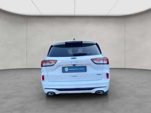 Ford Kuga 2.5 Duratec PHEV ST-LINE Bild 5