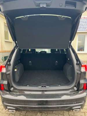 Ford Kuga ST-Line X Bild 4