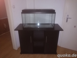 Aquarium mit Unterschrank 