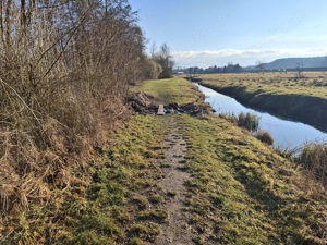 Badesee Baiersdorf suche Entspannung für die Mittagspause