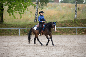 mobiler Reitunterricht Western Freizeit 