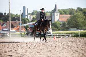 Mobiler Reitunterricht Freizeit Western