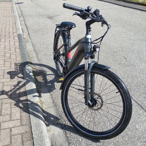 Verkaufe Damen E-Bike Raymen Tourray E 8,0 Größe S
