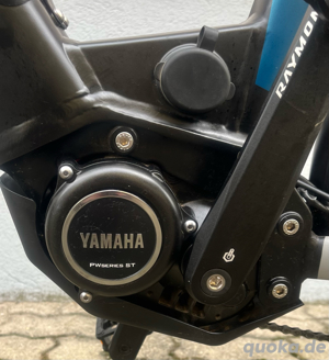 E-Bike Raymon TourRay 7.0