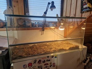 Glas Terrarium 100 x 50 x 40 (LxHXB)