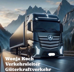 Externer Verkehrsleiter EU-Lizenz Güterkraftverkehr Bild 2