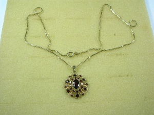 Kette + Anhänger 333 Gold mit Granat