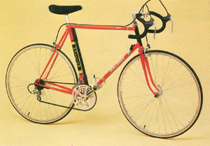 TI Raleigh, Raleigh Rennrad von 1983, teamrot, Rahmenhöhe 57, liebevoll restauriert, viel Zubehör Bild 10