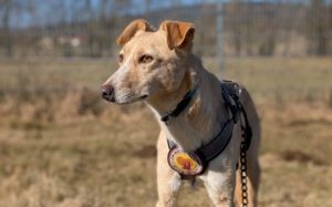 Zeigst du PAVEL wie schön die Welt ist?