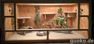 Terrarium 120cm B x 60cm T x 60cm H (90cm H mit Lichtkasten)