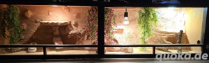 Terrarium XL 200cm L x 50cm H x 50cm T Komplett